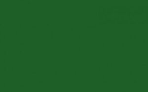 300.samphire Night.jpg