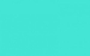 303.fishbourne.jpg