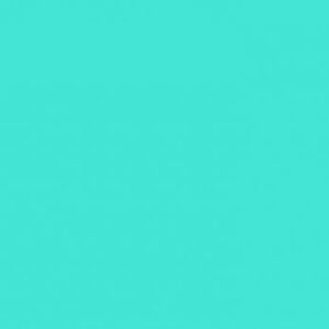 303.fishbourne.jpg