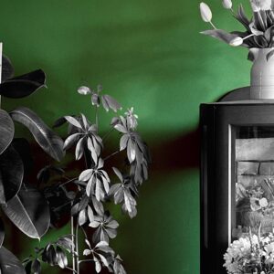 Ceramic Matt Emulsion Green Rqgs2m0q.jpg